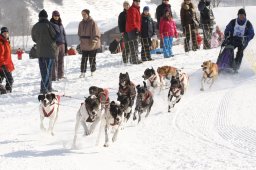 Lenk 2012 SM
